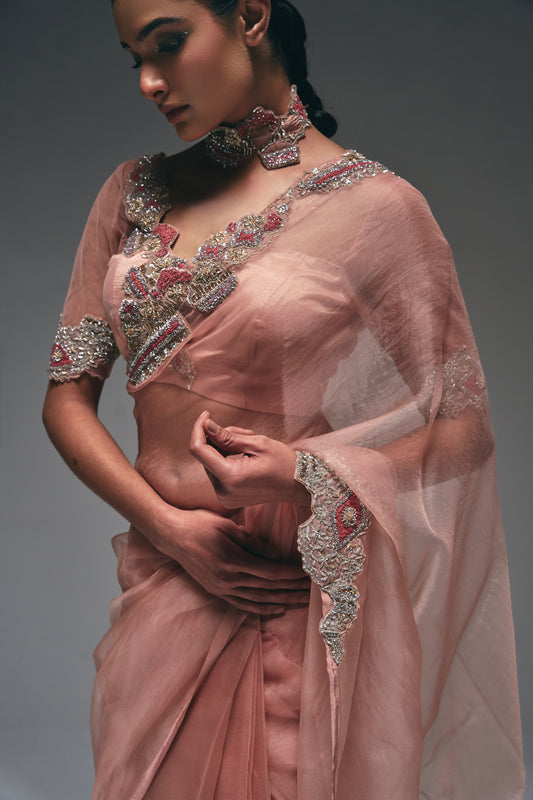 An elegant organza saree
