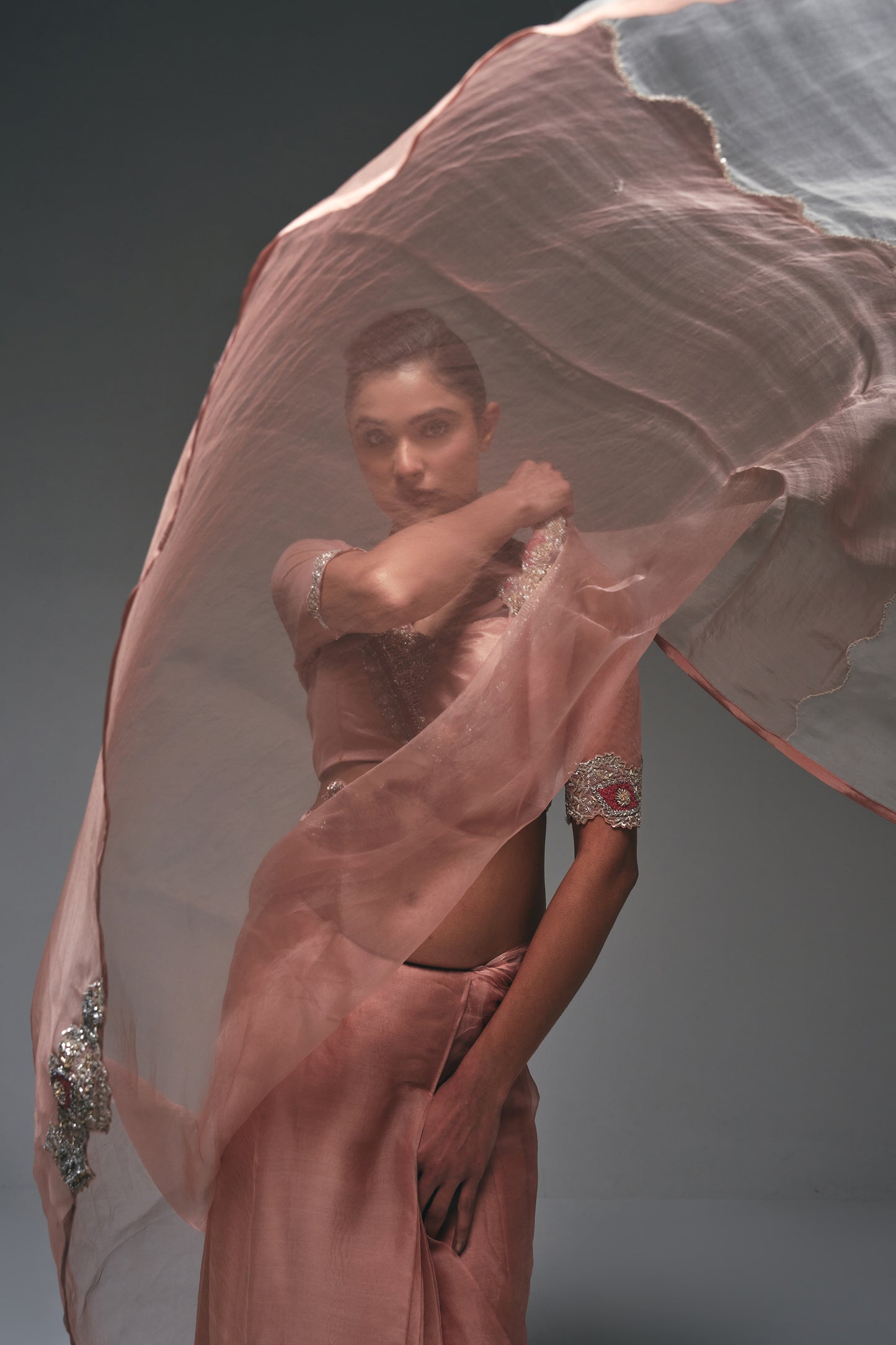 An elegant organza saree