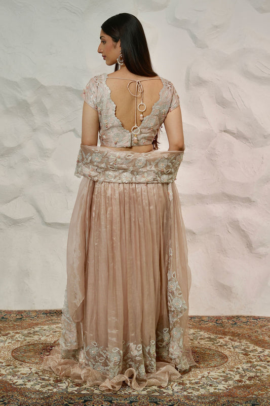 Onion Pink Embroidered Tissue Lehenga with Heavy Blouse and Matching Tissue Pallu