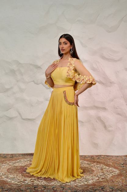 Sheer Net Cape with Dupion Silk Bustier and Flowy Georgette Skirt