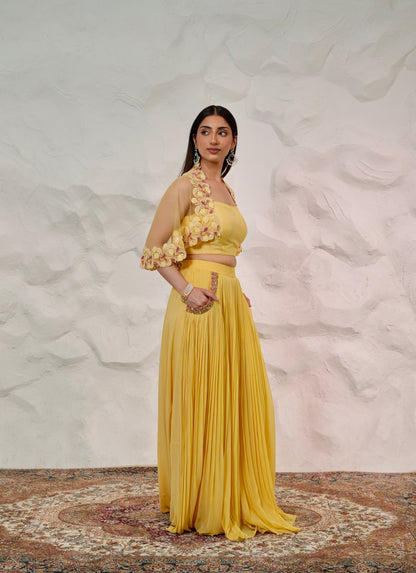 Sheer Net Cape with Dupion Silk Bustier and Flowy Georgette Skirt