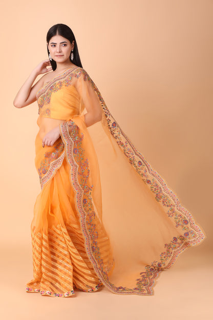 Luxury Orange Saree with Detailed Border Work and Blouse
