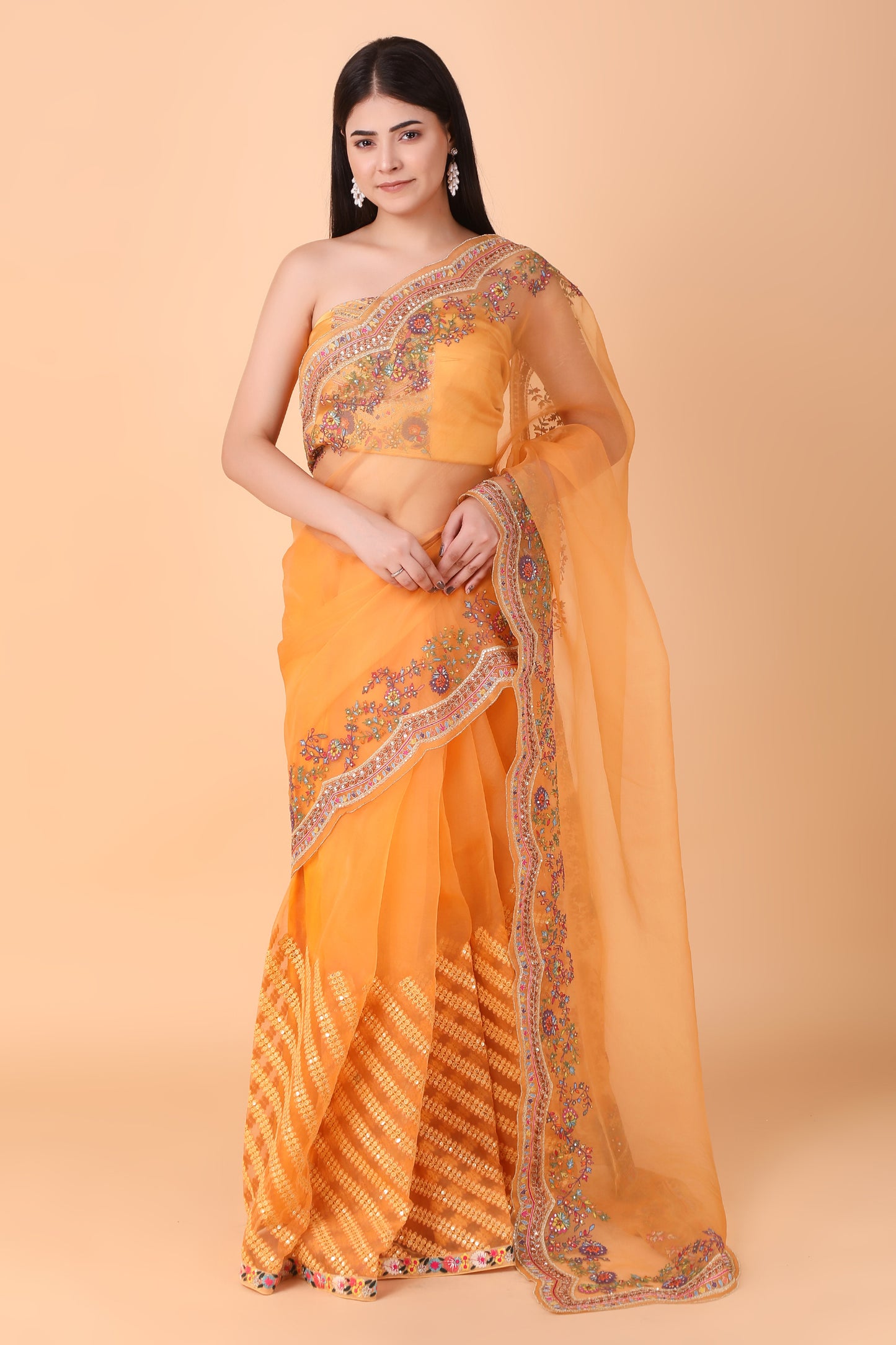 Luxury Orange Saree with Detailed Border Work and Blouse