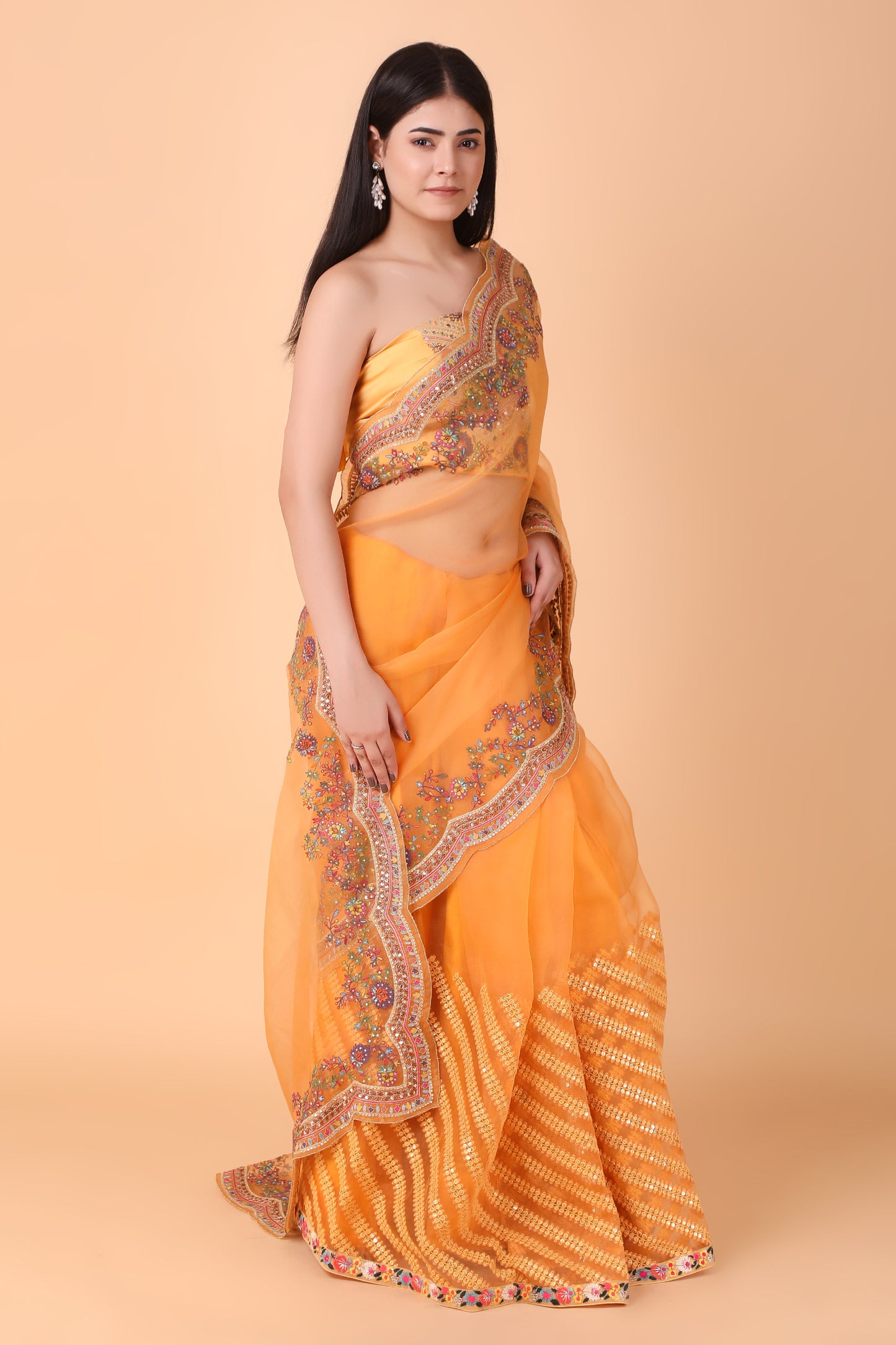 Luxury Orange Saree with Detailed Border Work and Blouse
