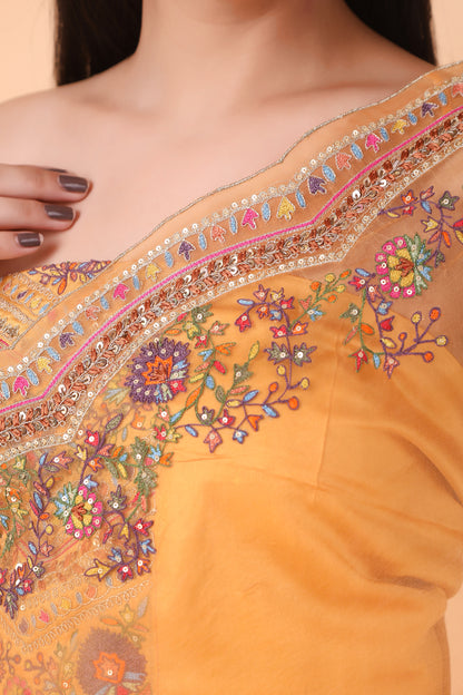Luxury Orange Saree with Detailed Border Work and Blouse