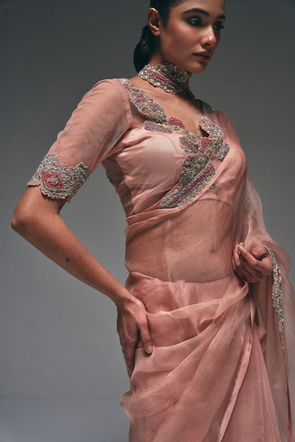 An elegant organza saree