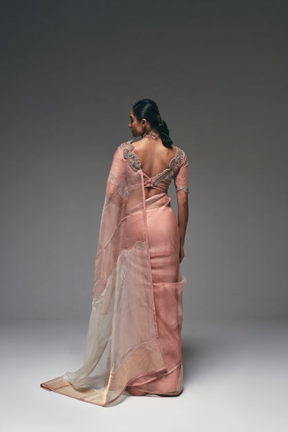 An elegant organza saree