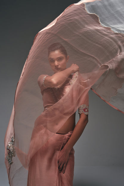 An elegant organza saree