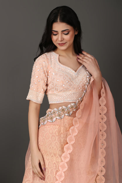 Peach Chikankari Lakhnavi Lehenga with Matching Dupatta