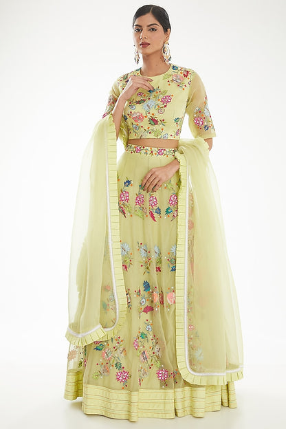 Grape Green Lehenga with Multicolor Patch Work Blouse and Dupatta