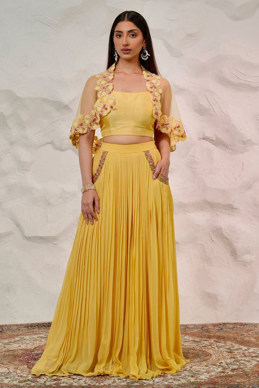 Sheer Net Cape with Dupion Silk Bustier and Flowy Georgette Skirt