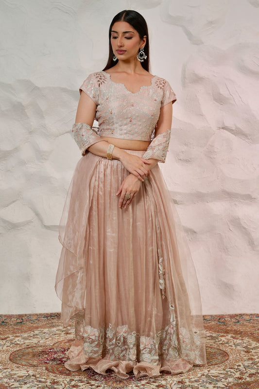 Onion Pink Embroidered Tissue Lehenga with Heavy Blouse and Matching Tissue Pallu
