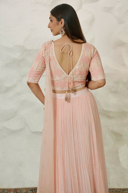 Luxury Pink Chiffon Draped Saree Set with Handworked Crepe Blouse