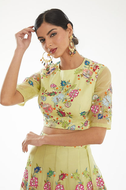 Grape Green Lehenga with Multicolor Patch Work Blouse and Dupatta