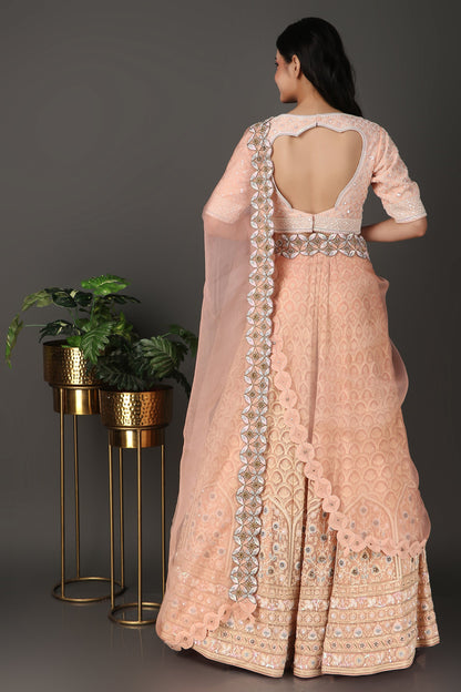 Peach Chikankari Lakhnavi Lehenga with Matching Dupatta