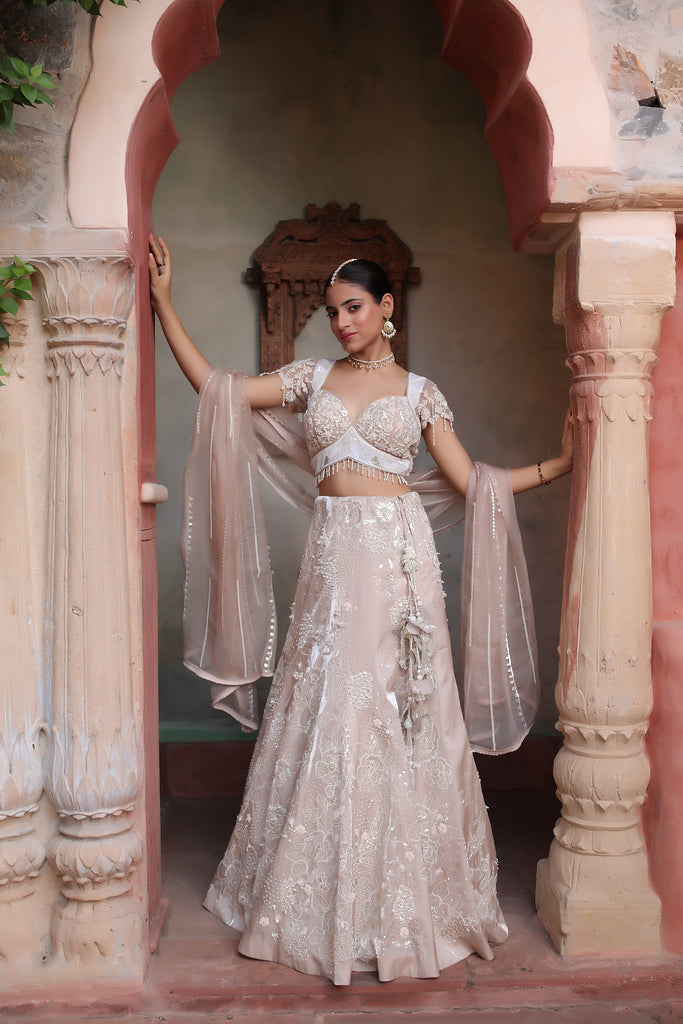 Beige Heavy Lehenga With Handwork Broad Neck Blouse.