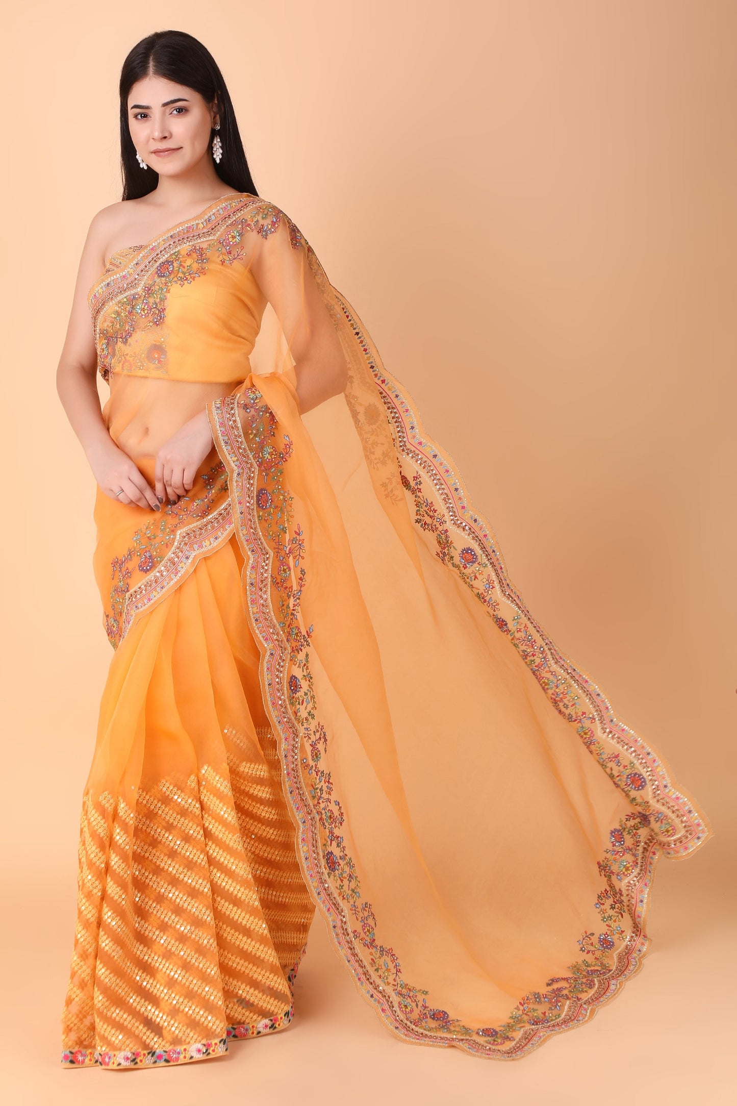Luxury Orange Saree with Detailed Border Work and Blouse