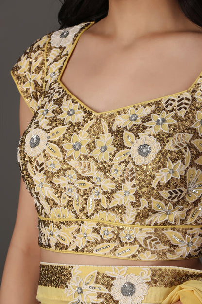 Soft Yellow Floral Embroidered Saree with Elegant Border and Sheer Finish
