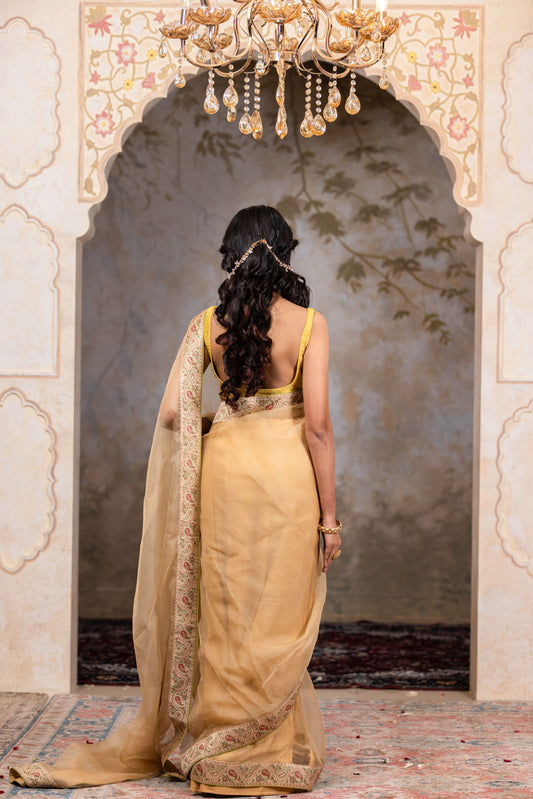 Beige Organza Saree with Beautiful Border and Brocade Jacket