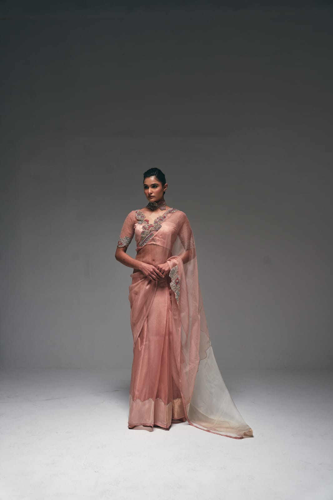 An elegant organza saree