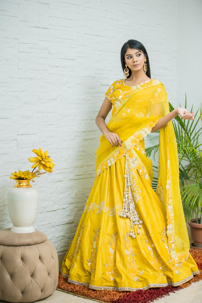 Haldi taser Silk Lehenga