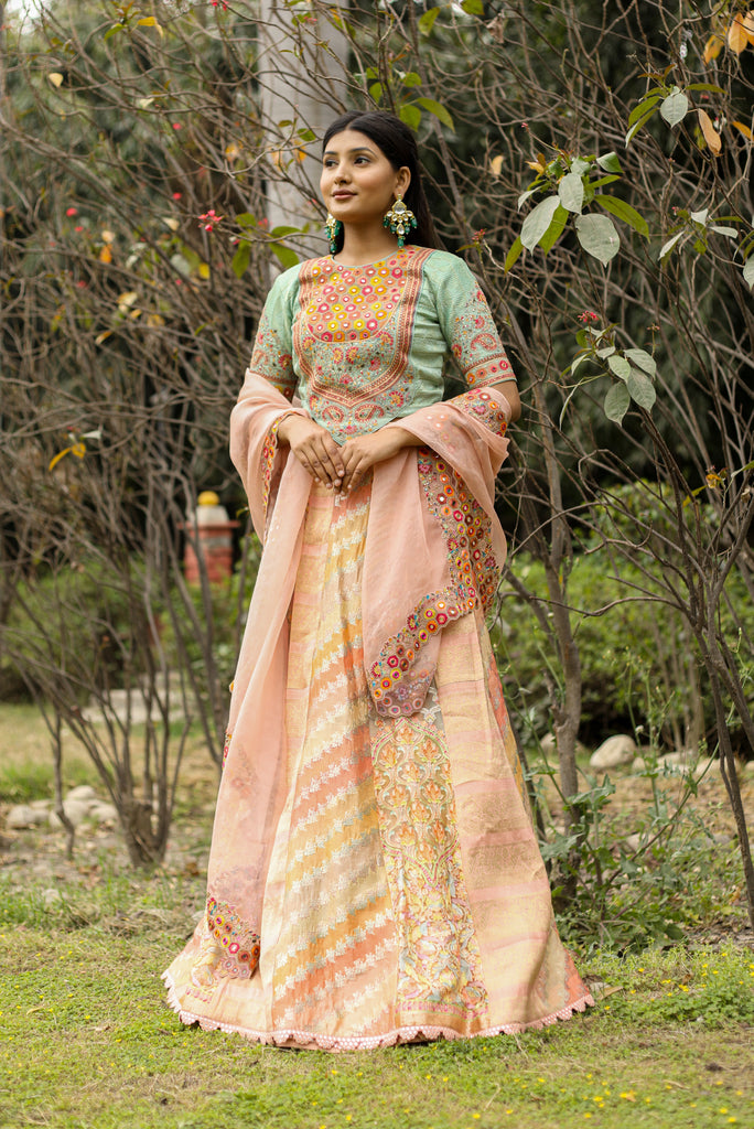 Banarasi Saree with colorful zari